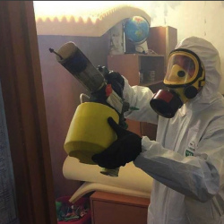 Уничтожение клопов в квартире. Красносельский район 